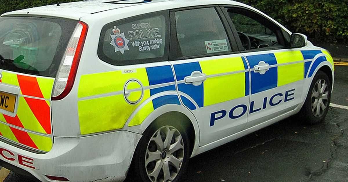 Getsurrey Police Car