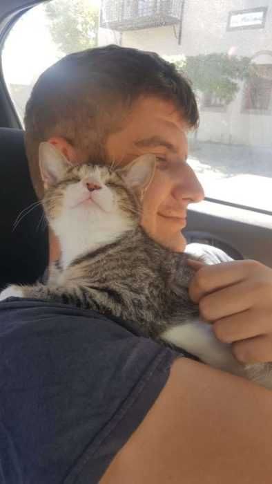 June Cuddle Neck The Dodo