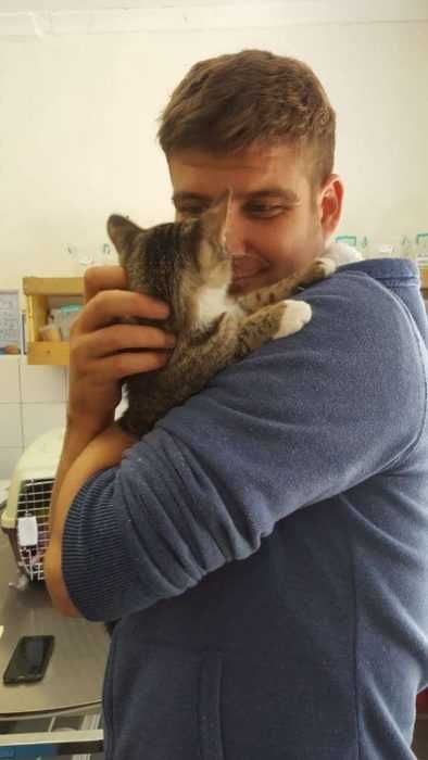 June Kitten Cuddle