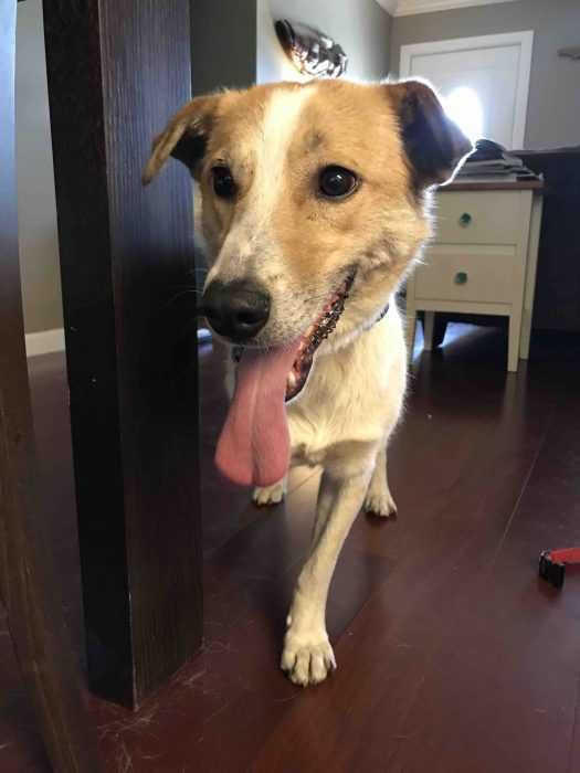 Lucky In Florida