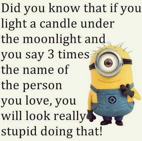 Minion Did You Know