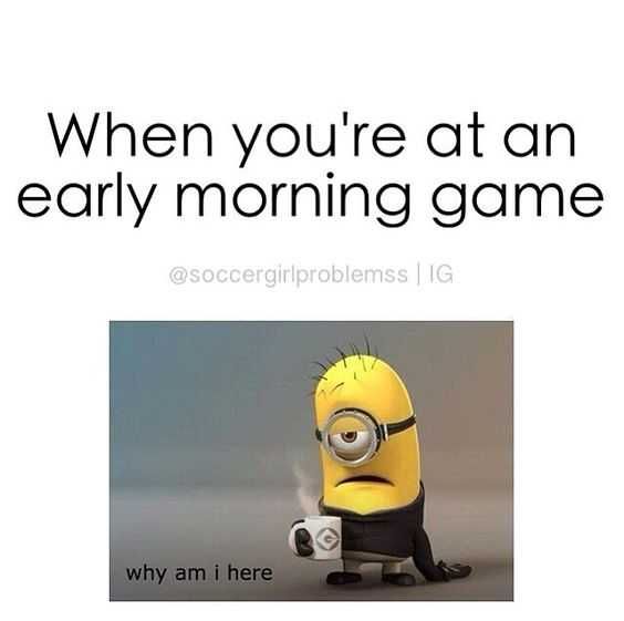 Minion Early Morning