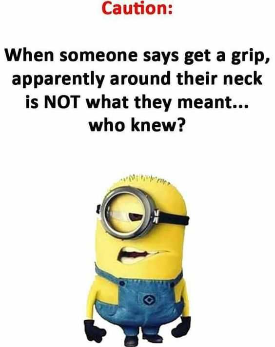 Minion Get A Grip