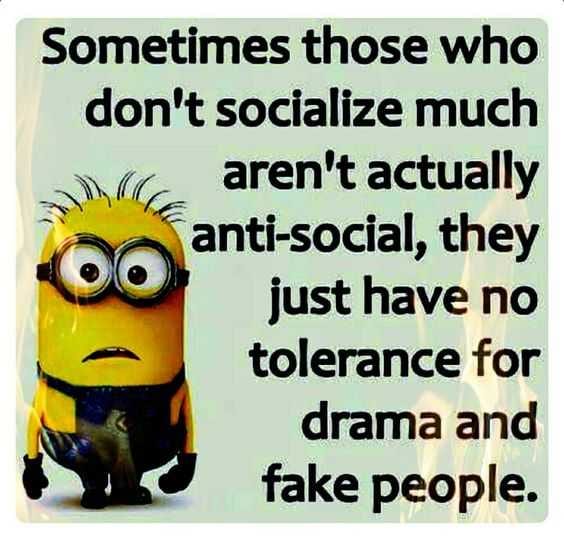 Minion Hate People