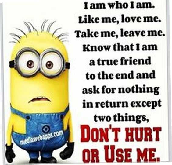 Minion I Am Who Iam