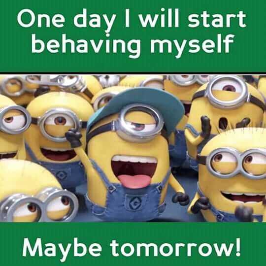 Minion Maybe Tomorrow