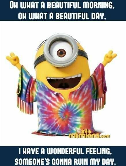 Minion Ruin My Day