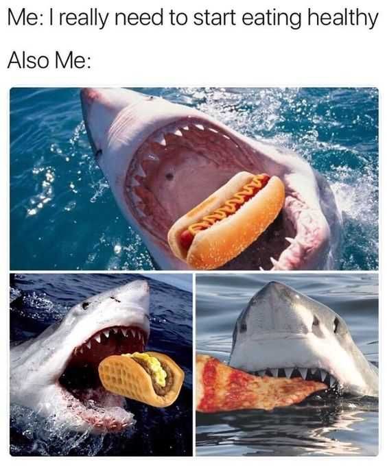 Pic Also Jaws