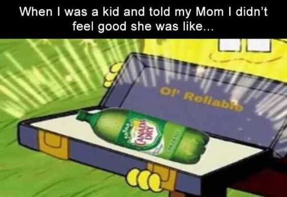 Pic Ginger Ale