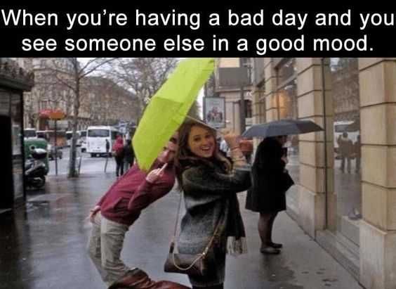 Pic Having A Day