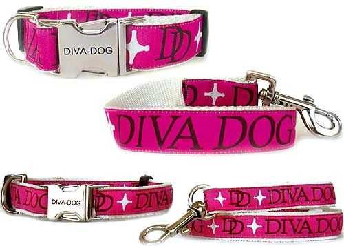 Pineterest Diva Dog
