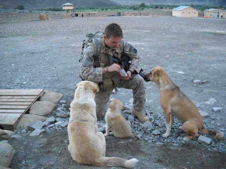 Puppyrescuemission
