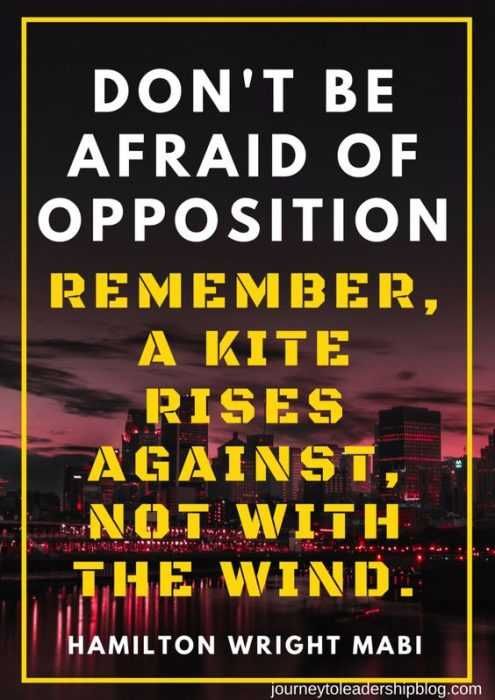 Quote Dont Afraid Kite