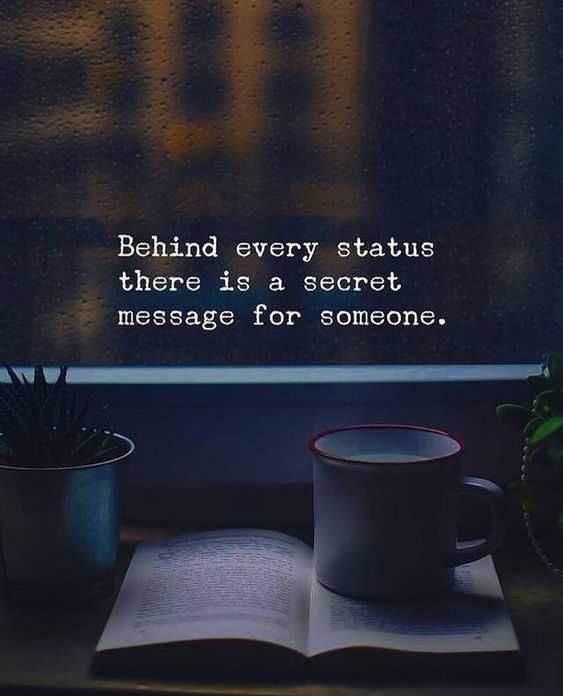 Quote Every Status