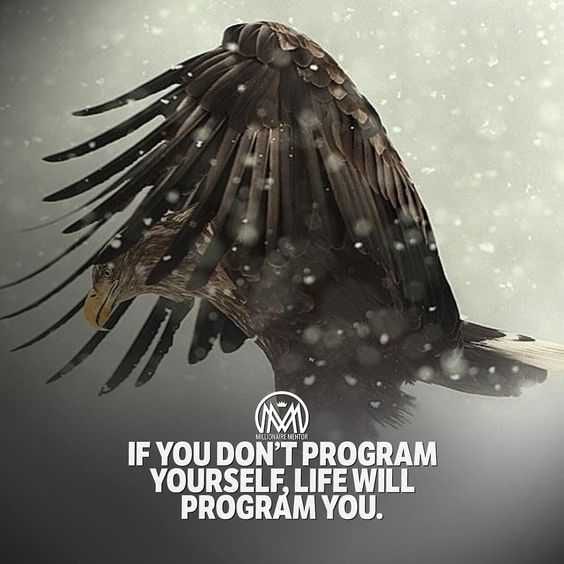Quote Ifyou Dont Program