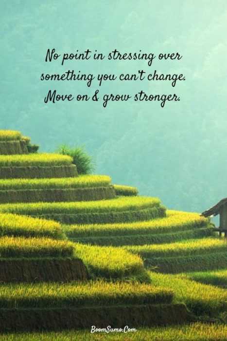 Quote No Point In Stressing