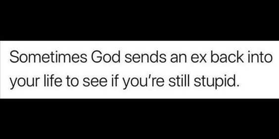 Quote Sends