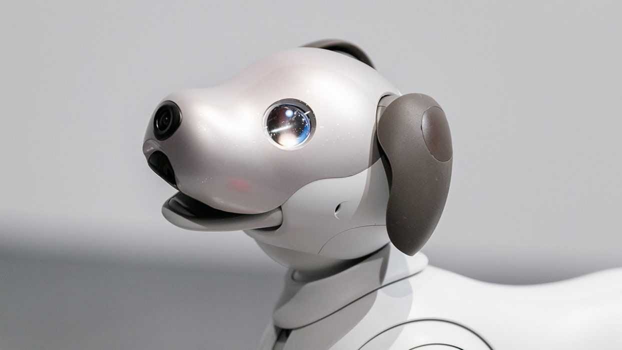 Sony Dog Robot