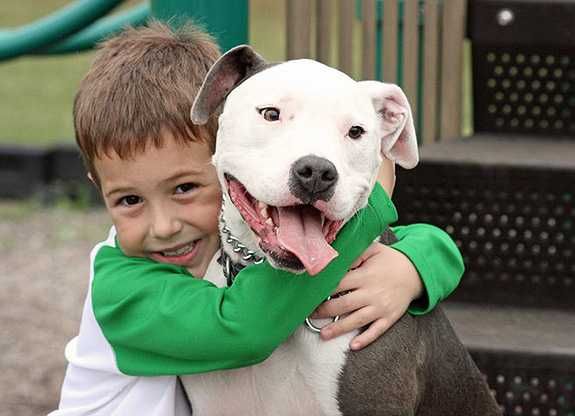 Stubbydog Kids