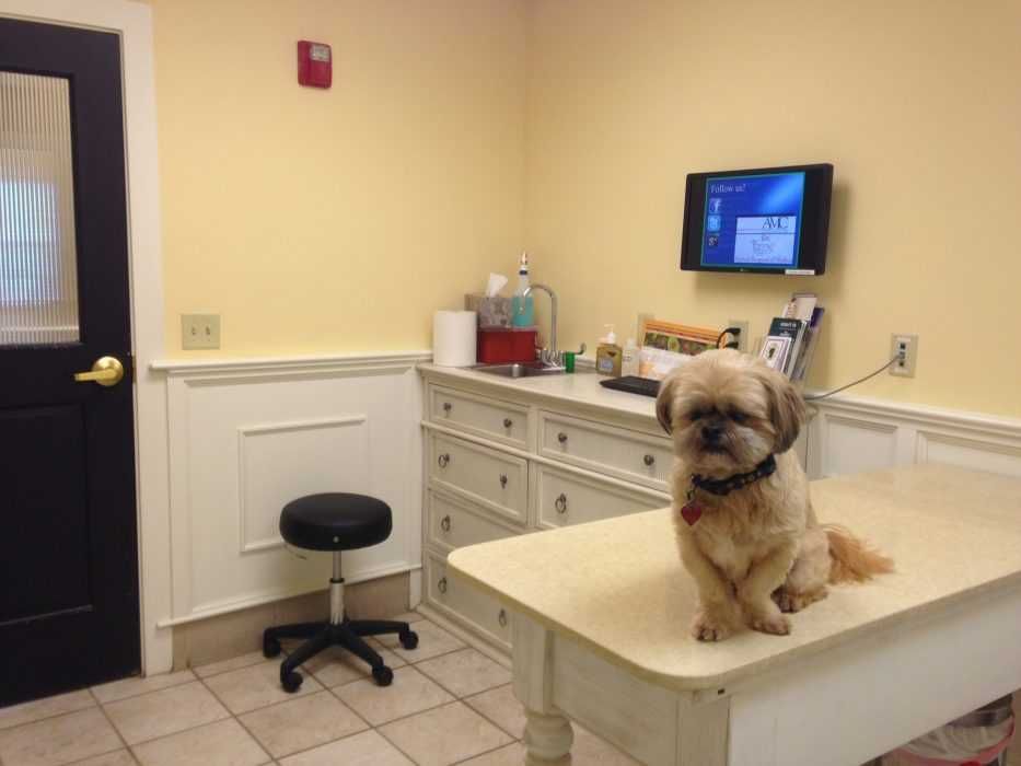 Wikipedia Vet Office