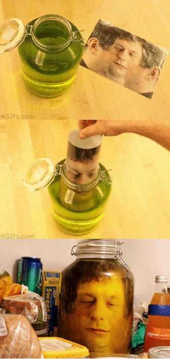 Diy Head In A Jar