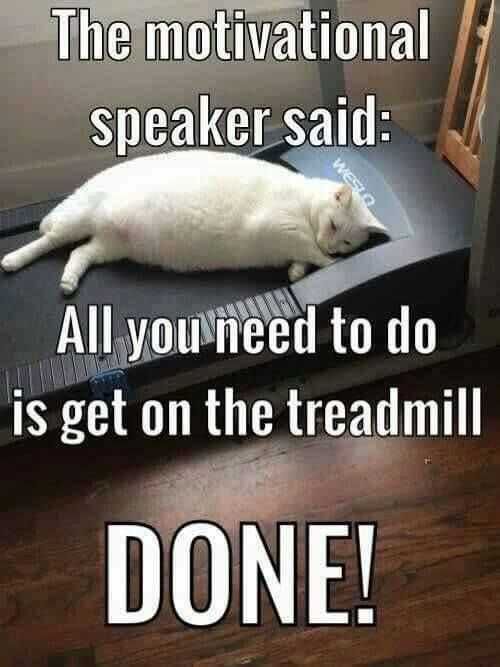 Funn Motivational Spaer