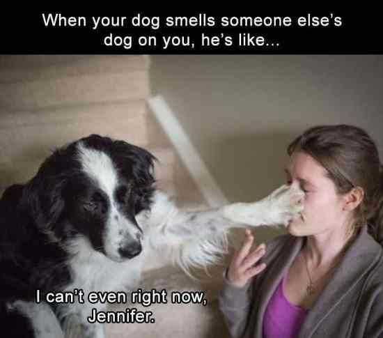 Funny Cant Even