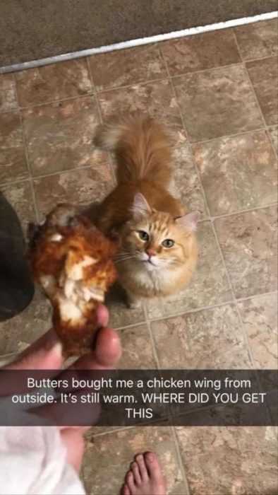 Funny Chicken Wing