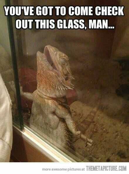 Funny Come Check Glass