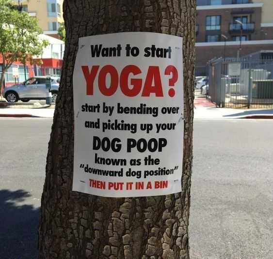 Funny Downward
