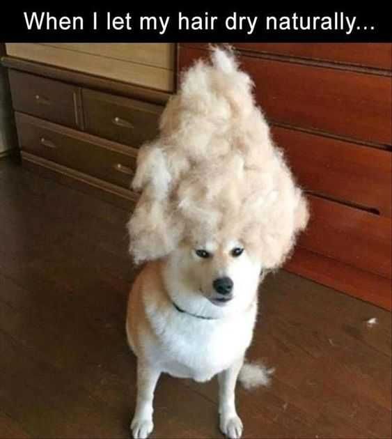 Funny Dry Naturally