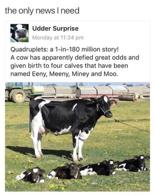 Funny Eeney Meeney