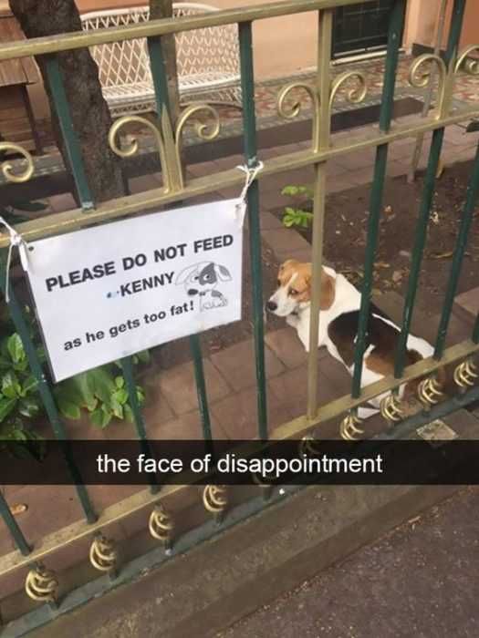 Funny Feed Kenny