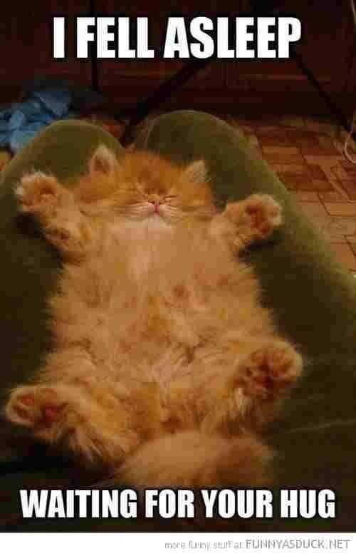 Funny Fell Asleep