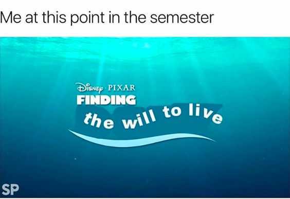 Funny Finding Will