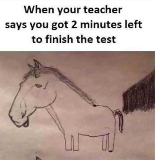 Funny Finish Test