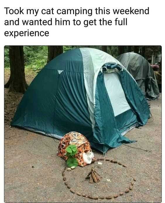 Funny Full