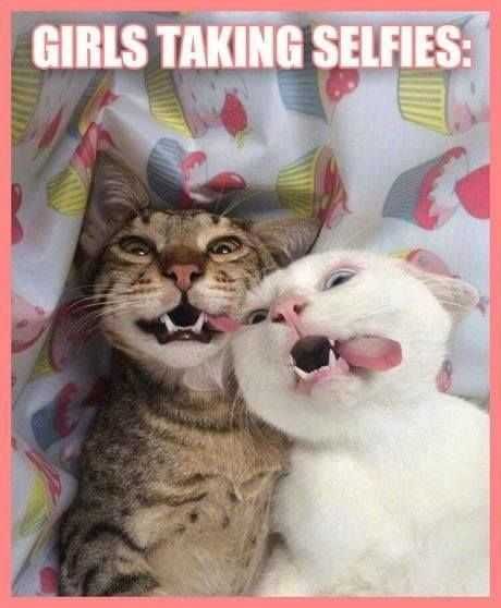 Funny Girls Selfies