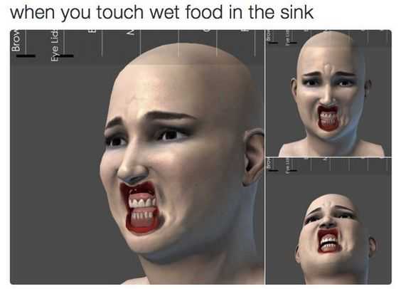 Funny Gross Wet Food