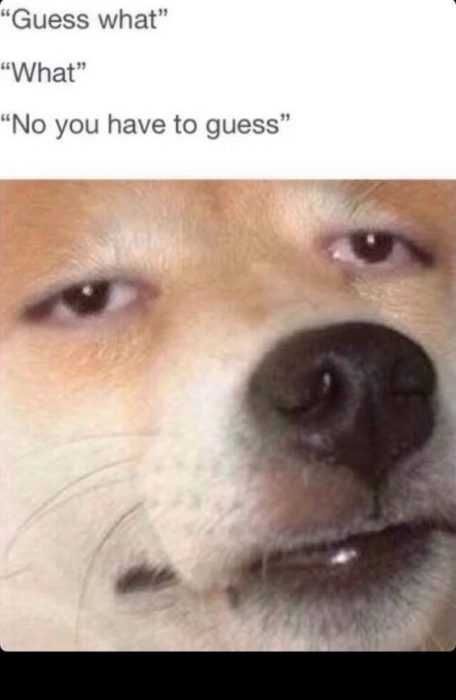 Funny Guess What