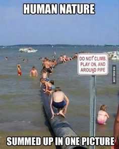Funny Human Nature