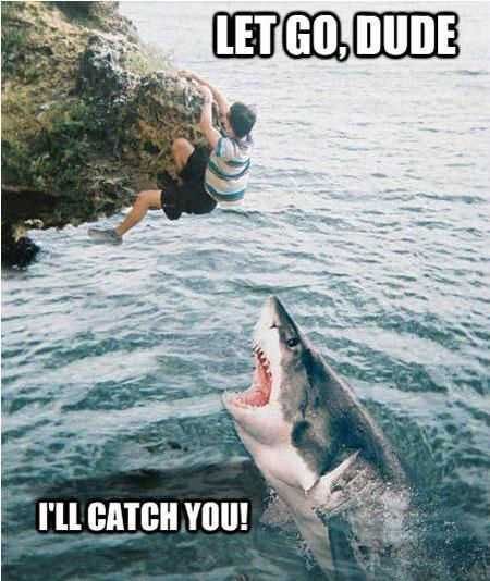 Funny I Catch