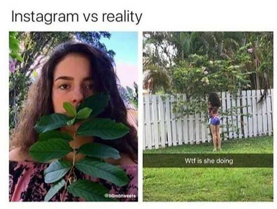 Funny Instagram