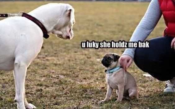 Funny Lucky Hold Me Back
