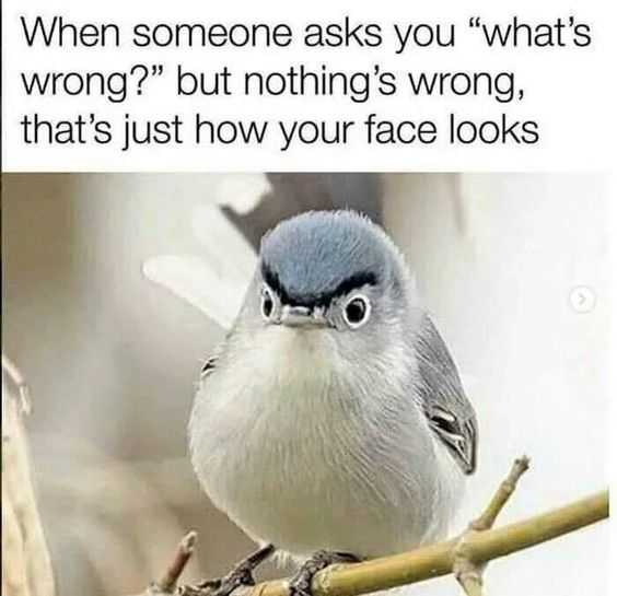 Funny My Face
