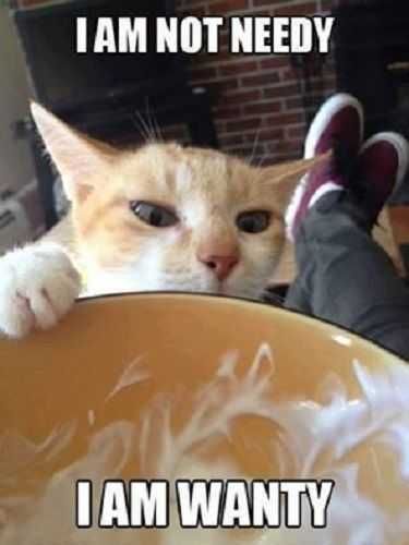 Funny Needy Wanty