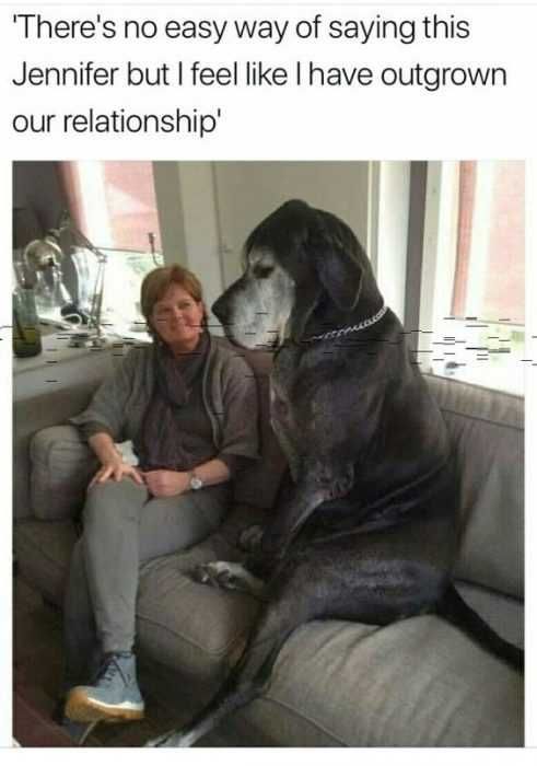 Funny Outgrown