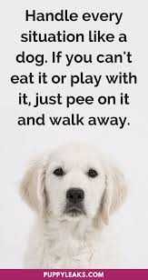 Funny Puppy