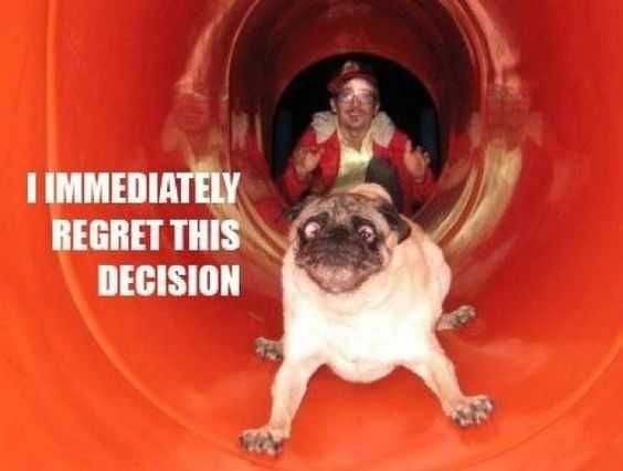 Funny Regret