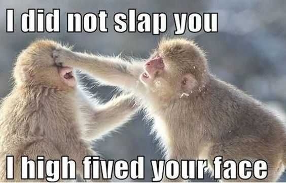 Funny Slapped Your Face